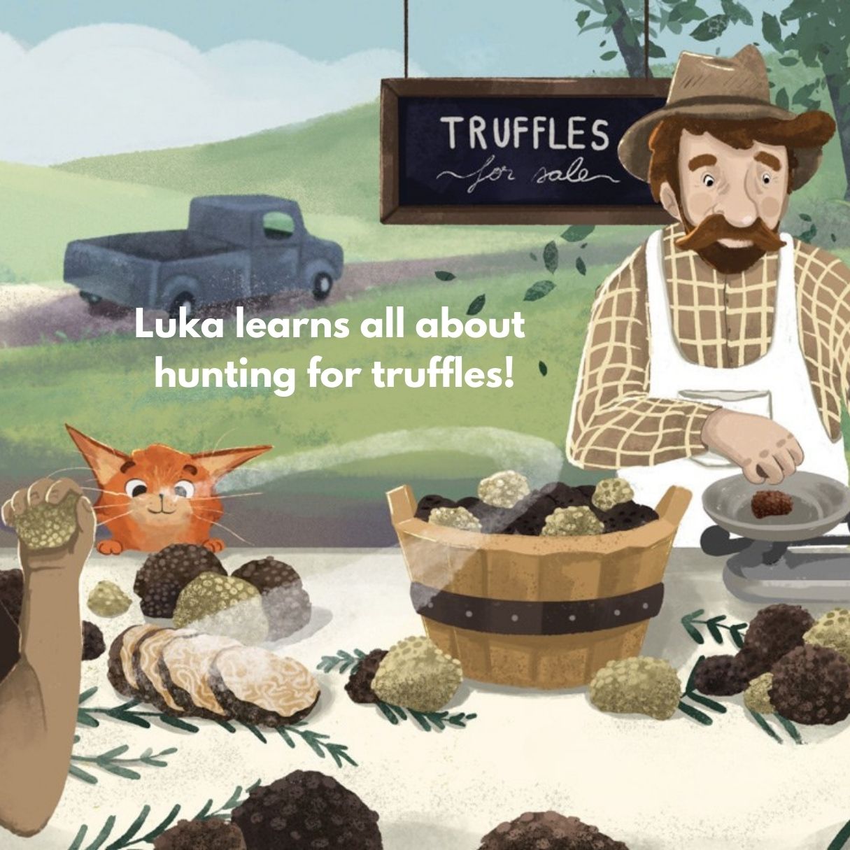 Truffle Cat: The City Cat Who Wanted to Become a Truffle Pig (Children's Board Book)