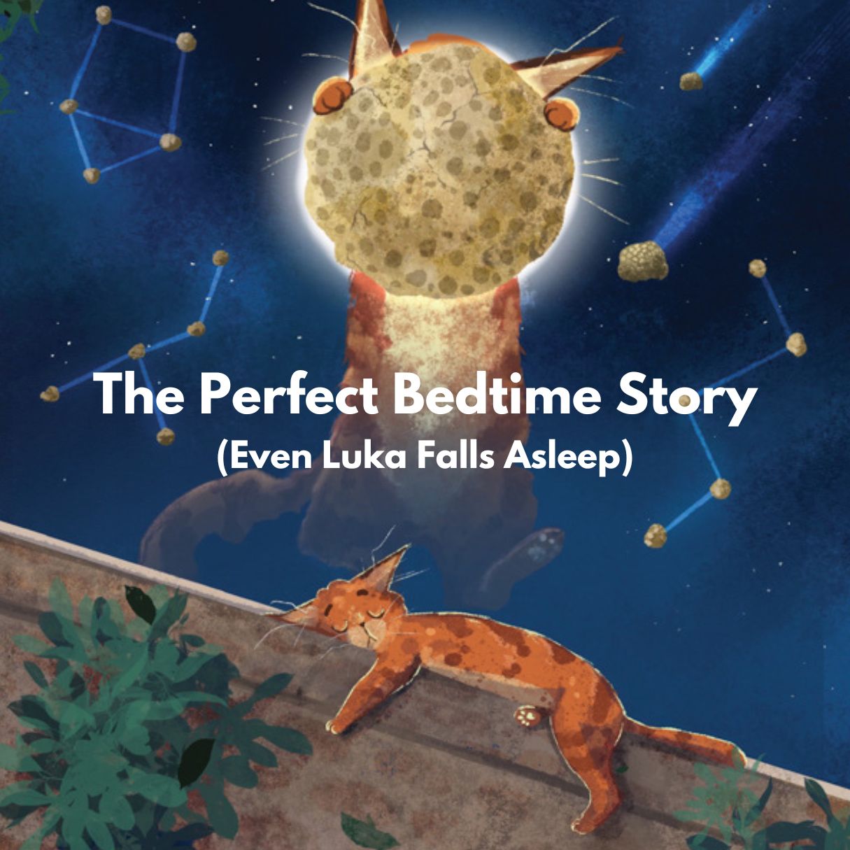 Truffle Cat: The City Cat Who Wanted to Become a Truffle Pig (Children's Board Book)